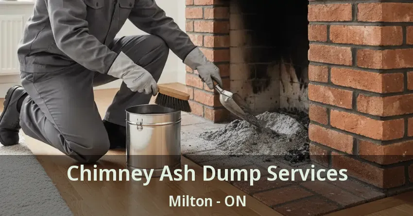 Chimney Ash Dump Services Milton - ON