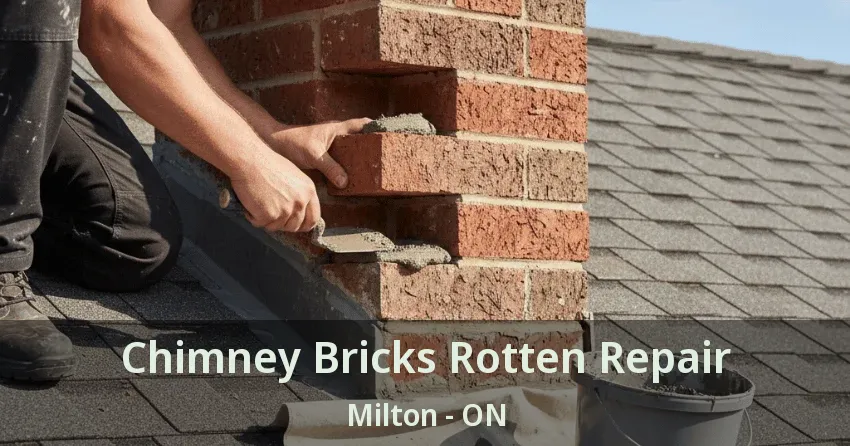 Chimney Bricks Rotten Repair Milton - ON