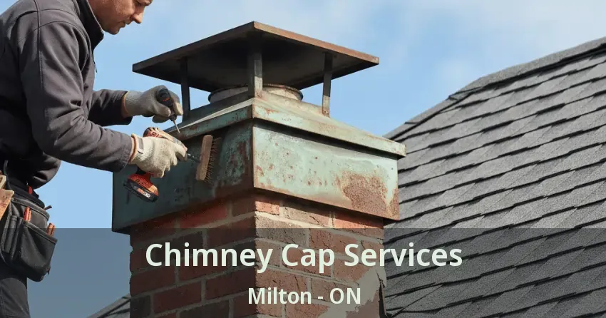 Chimney Cap Services Milton - ON