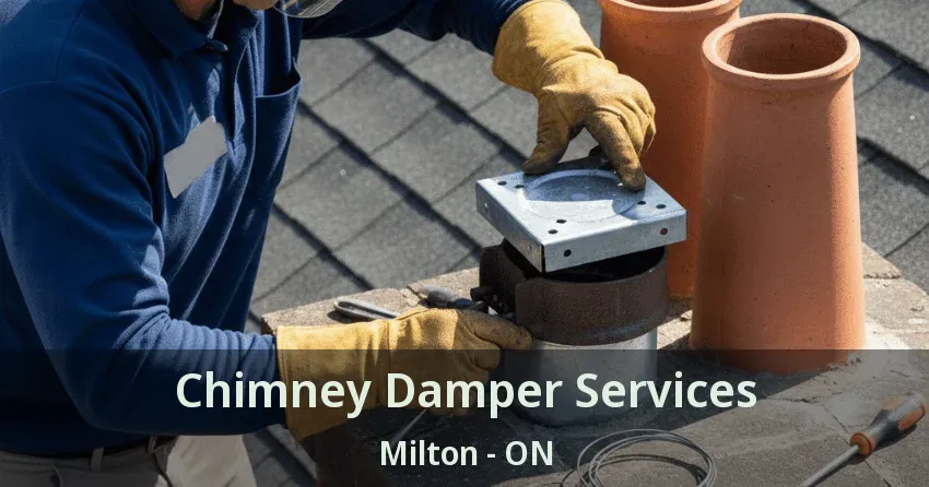 Chimney Damper Services Milton - ON