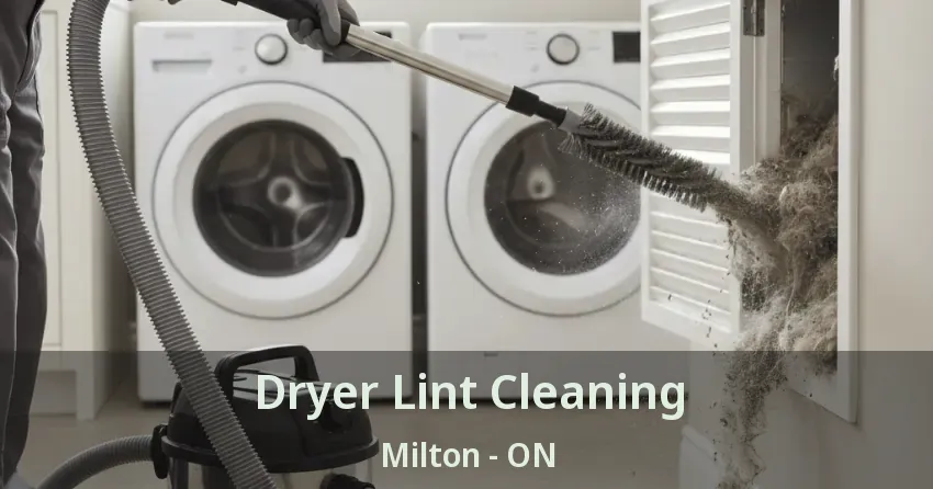 Dryer Lint Cleaning Milton - ON