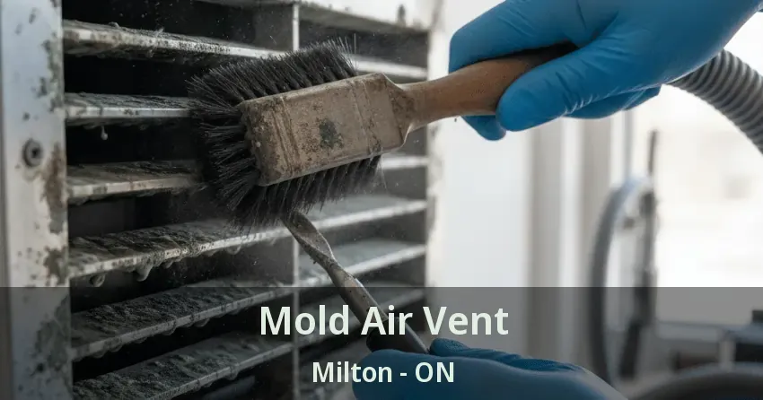 Mold Air Vent Milton - ON