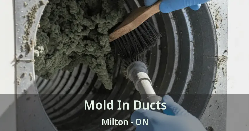 Mold In Ducts Milton - ON
